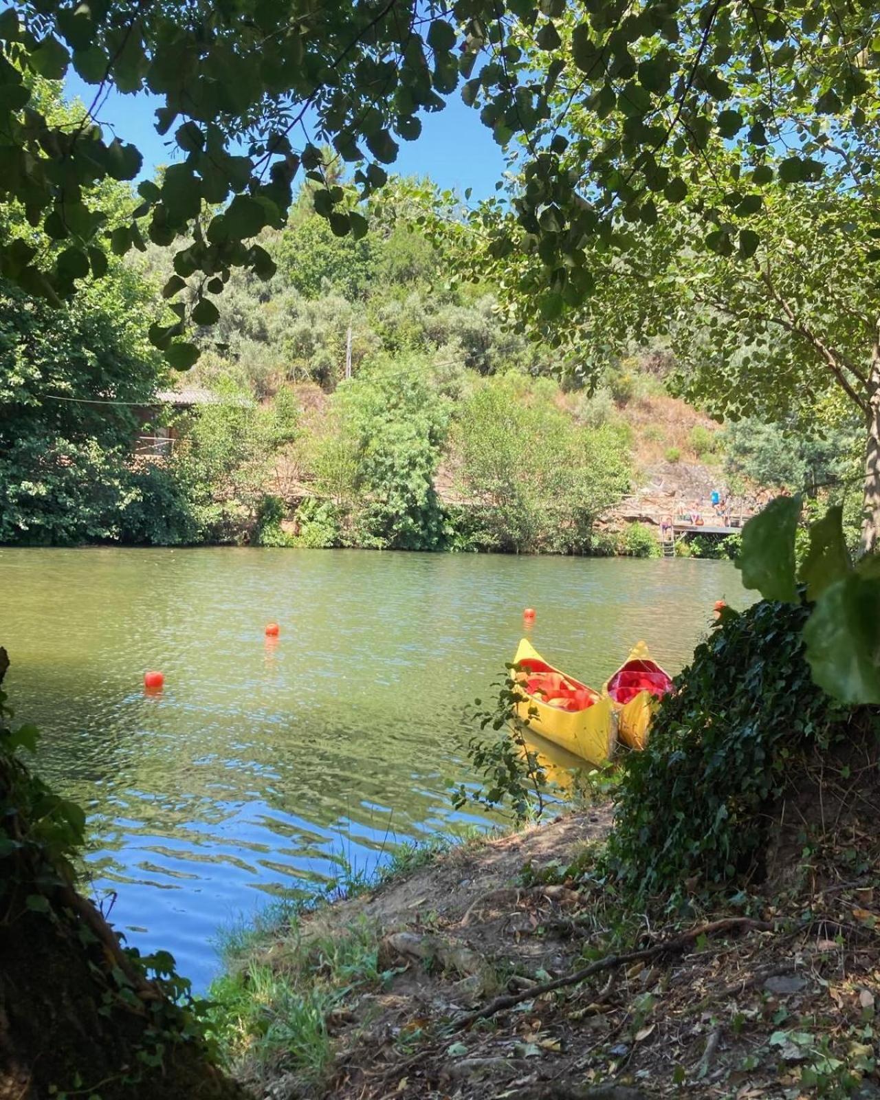 Vila Delfina Lousã Екстериор снимка