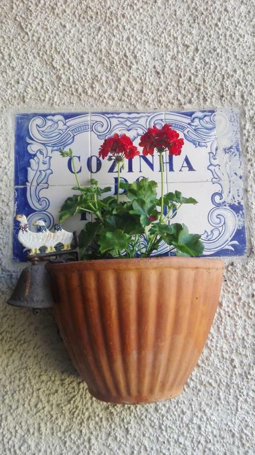 Vila Delfina Lousã Екстериор снимка